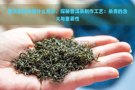 普洱茶杀青是什么意思，探秘普洱茶制作工艺：杀青的含义与重要性