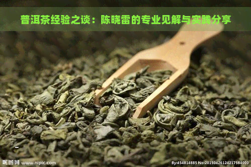 普洱茶经验之谈：陈晓雷的专业见解与实践分享