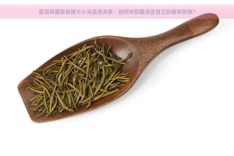 普洱茶藏茶规模大小与品质关系：如何找到最适合自己的藏茶规模？