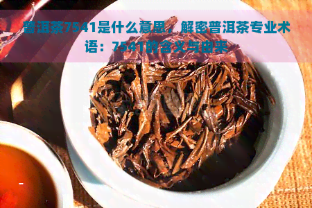 普洱茶7541是什么意思，解密普洱茶专业术语：7541的含义与由来