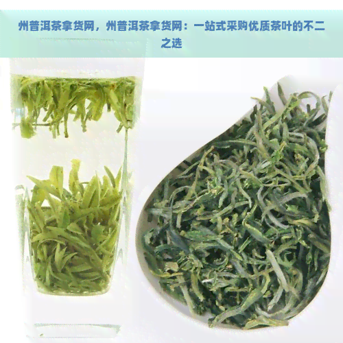 州普洱茶拿货网，州普洱茶拿货网：一站式采购优质茶叶的不二之选