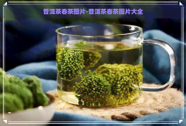 普洱茶春茶图片-普洱茶春茶图片大全