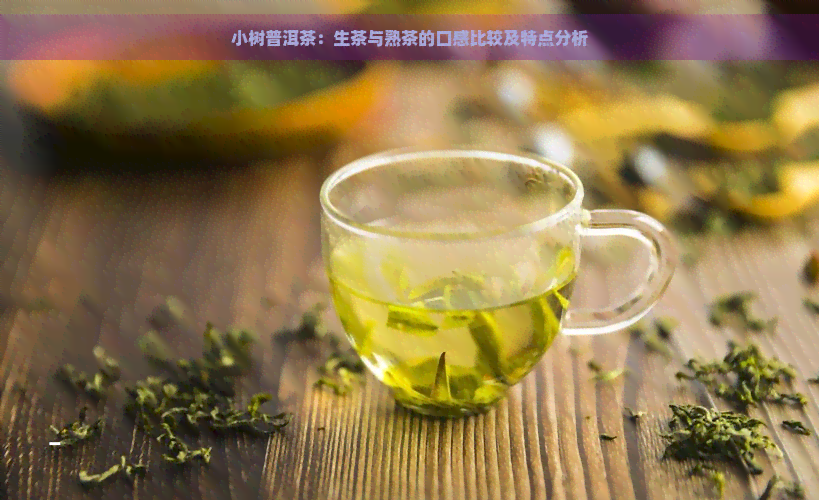 小树普洱茶：生茶与熟茶的口感比较及特点分析