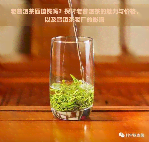 老普洱茶匾值钱吗？探讨老普洱茶的魅力与价格，以及普洱茶老厂的影响