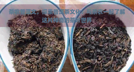 茶农普洱文，探索普洱茶文化：与茶农一起了解这片神奇的茶叶世界