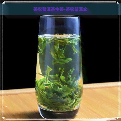 茶农普洱茶生茶-茶农普洱文