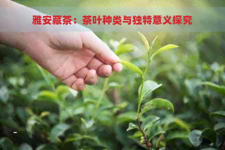 雅安藏茶：茶叶种类与独特意义探究