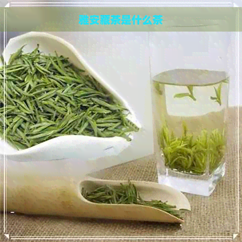 雅安藏茶是什么茶