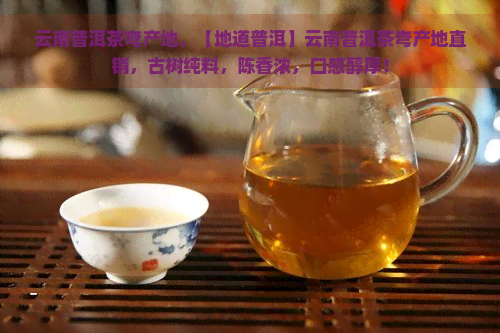 云南普洱茶弯产地，【地道普洱】云南普洱茶弯产地直销，古树纯料，陈香浓，口感醇厚！