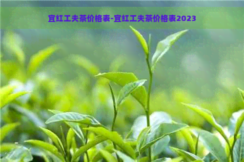 宜红工夫茶价格表-宜红工夫茶价格表2023