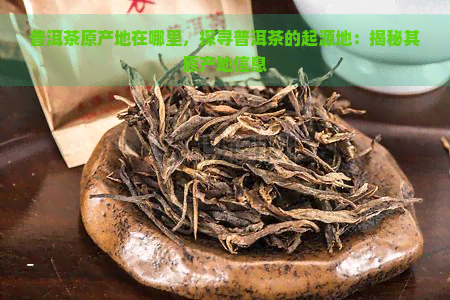 普洱茶原产地在哪里，探寻普洱茶的起源地：揭秘其原产地信息