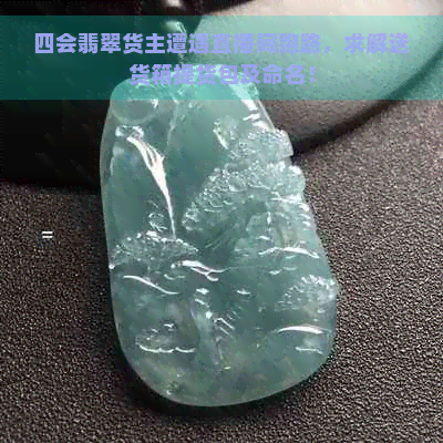 四会翡翠货主遭遇直播间跑路，求解送货箱提货包及命名！