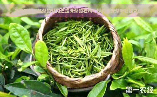 六安瓜片：红茶的魅力还是绿茶的独特？探讨六安茶叶归属之谜