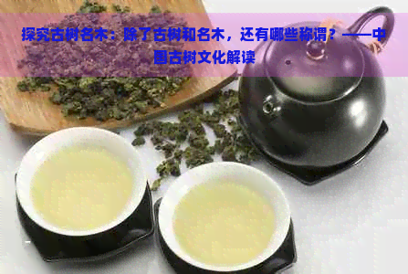 探究古树名木：除了古树和名木，还有哪些称谓？——中国古树文化解读