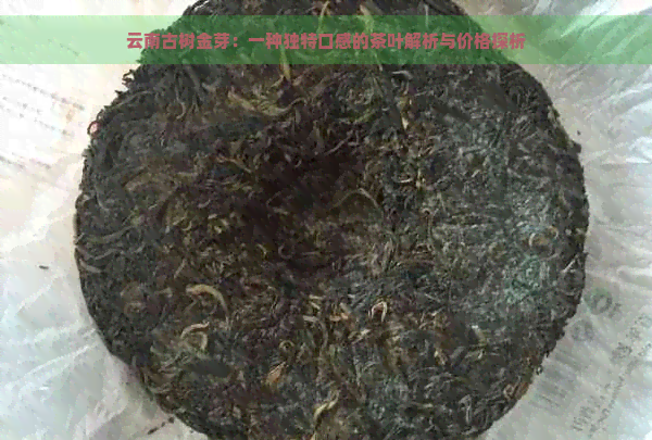 云南古树金芽：一种独特口感的茶叶解析与价格探析