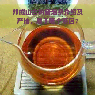 邦威山古树普洱茶介绍及产地，属于哪个茶区？