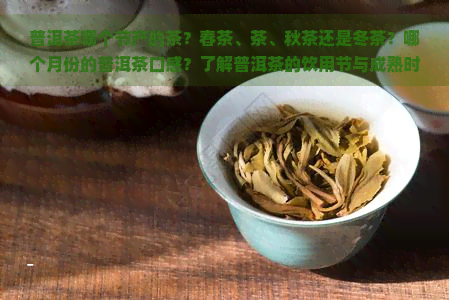 普洱茶哪个节产的茶？春茶、茶、秋茶还是冬茶？哪个月份的普洱茶口感？了解普洱茶的饮用节与成熟时期。