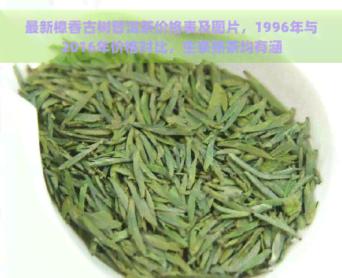 最新樟香古树普洱茶价格表及图片，1996年与2016年价格对比，生茶熟茶均有涵