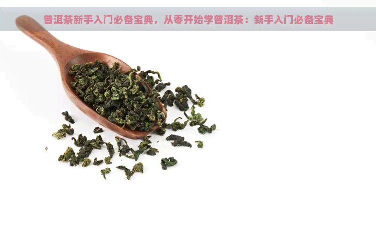 普洱茶新手入门必备宝典，从零开始学普洱茶：新手入门必备宝典