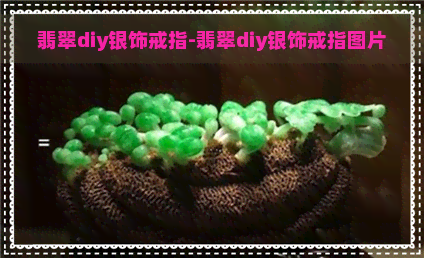 翡翠diy银饰戒指-翡翠diy银饰戒指图片