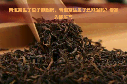 普洱茶生了虫子能喝吗，普洱茶生虫子还能喝吗？专家为你解答