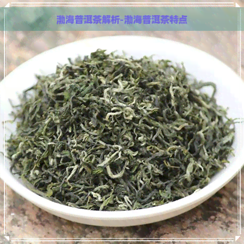 渤海普洱茶解析-渤海普洱茶特点