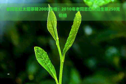 老同志红太阳茶砖2000价格：2010年老同志红太阳生茶250克价格