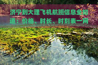 济宁到大理飞机航班信息全知道：价格、时长、时刻表一网打尽！