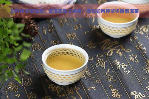 如何评鉴普洱茶，普洱茶品鉴指南：教你如何评鉴优质普洱茶