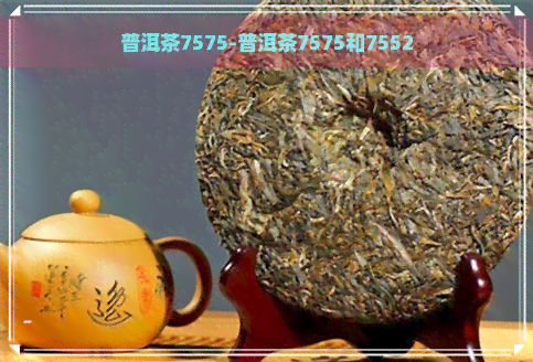 普洱茶7575-普洱茶7575和7552