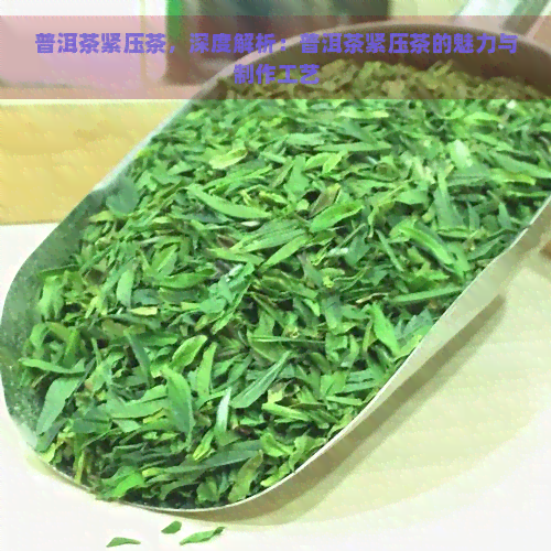 普洱茶紧压茶，深度解析：普洱茶紧压茶的魅力与制作工艺