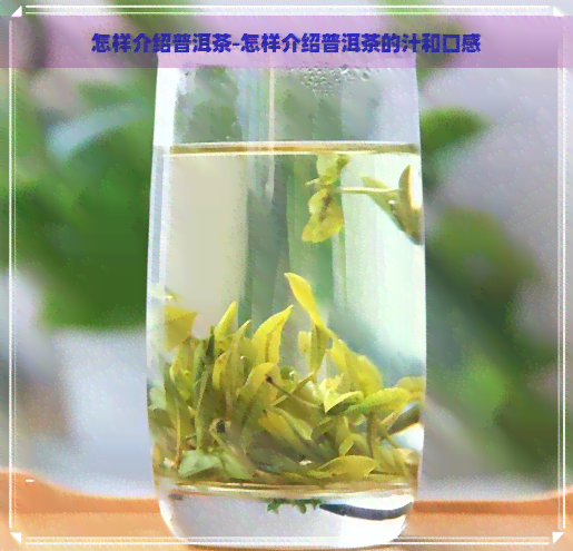 怎样介绍普洱茶-怎样介绍普洱茶的汁和口感