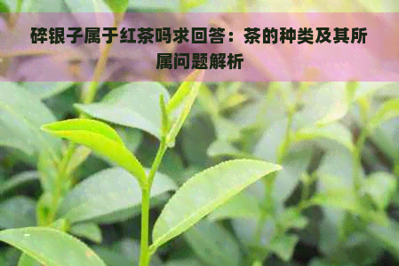 碎银子属于红茶吗求回答：茶的种类及其所属问题解析