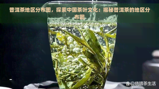 普洱茶地区分布图，探索中国茶叶文化：揭秘普洱茶的地区分布图