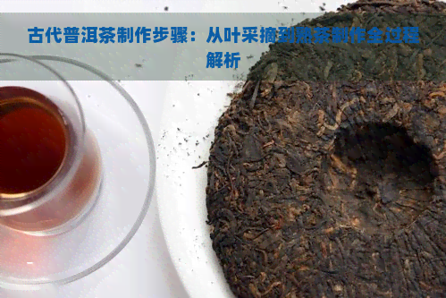 古代普洱茶制作步骤：从叶采摘到熟茶制作全过程解析