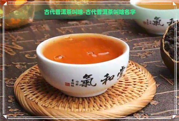 古代普洱茶叫啥-古代普洱茶叫啥名字