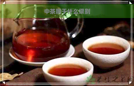 中茶属于什么级别