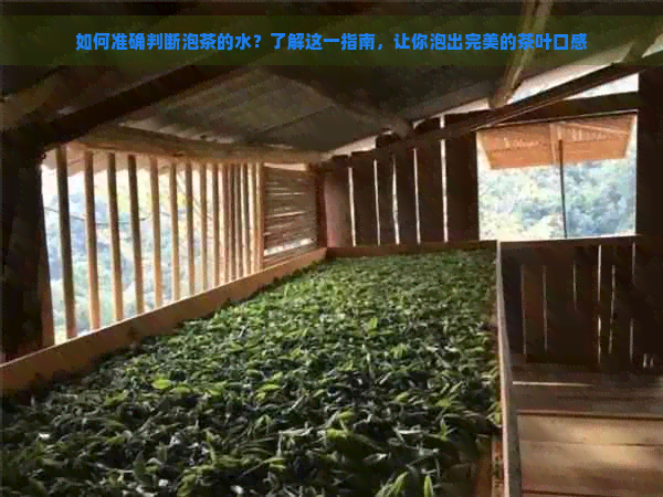 如何准确判断泡茶的水？了解这一指南，让你泡出完美的茶叶口感