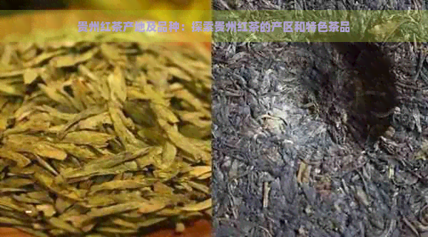 贵州红茶产地及品种：探索贵州红茶的产区和特色茶品