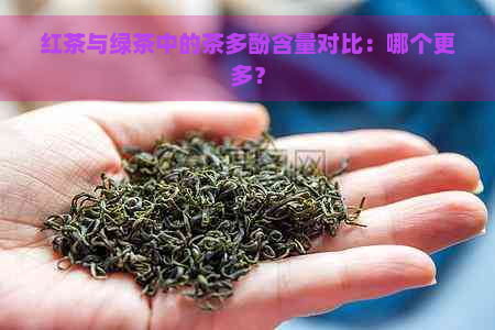 红茶与绿茶中的茶多酚含量对比：哪个更多？