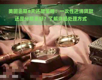 美团逾期8天还款策略：一次性还清贷款还是分期更好？了解详细处理方式