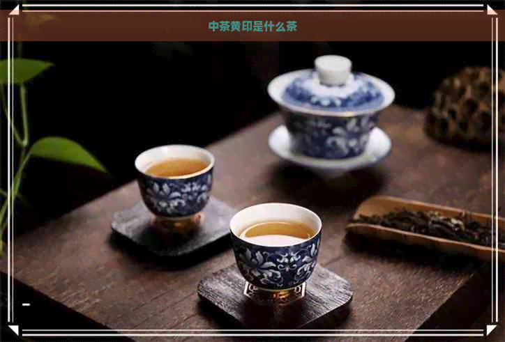 中茶黄印是什么茶