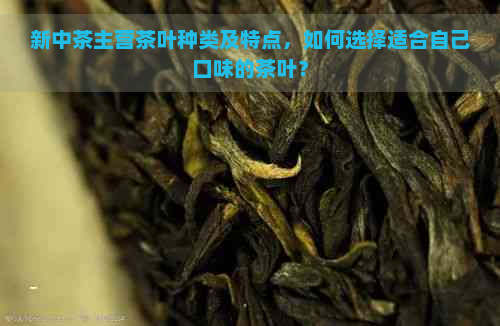 新中茶主营茶叶种类及特点，如何选择适合自己口味的茶叶？