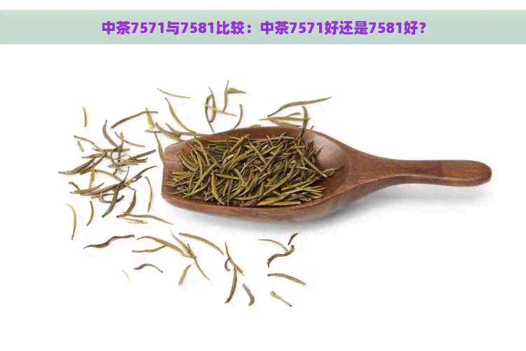 中茶7571与7581比较：中茶7571好还是7581好？