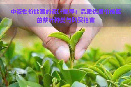 中茶性价比高的茶叶推荐：品质优良价格实的茶叶种类与购买指南