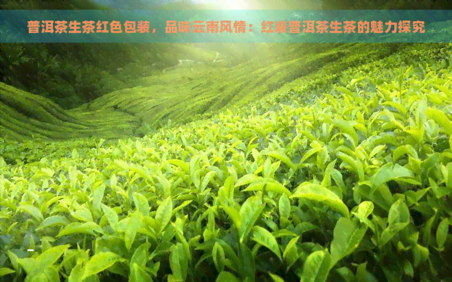 普洱茶生茶红色包装，品味云南风情：红装普洱茶生茶的魅力探究