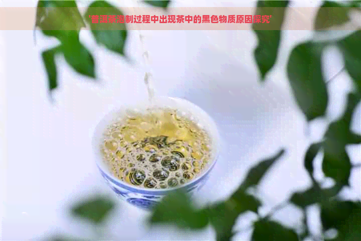 '普洱茶泡制过程中出现茶中的黑色物质原因探究'