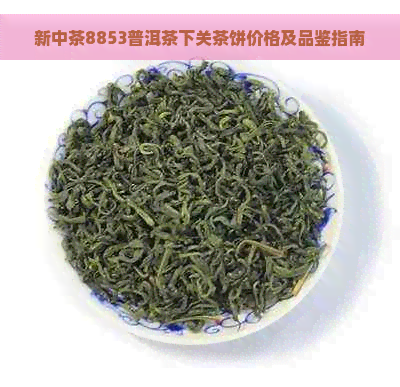 新中茶8853普洱茶下关茶饼价格及品鉴指南