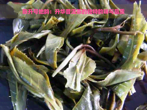 陈升号地韵：升华普洱茶的独特韵味与品质