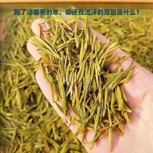 到了该喝茶的年，却还在流汗的原因是什么？